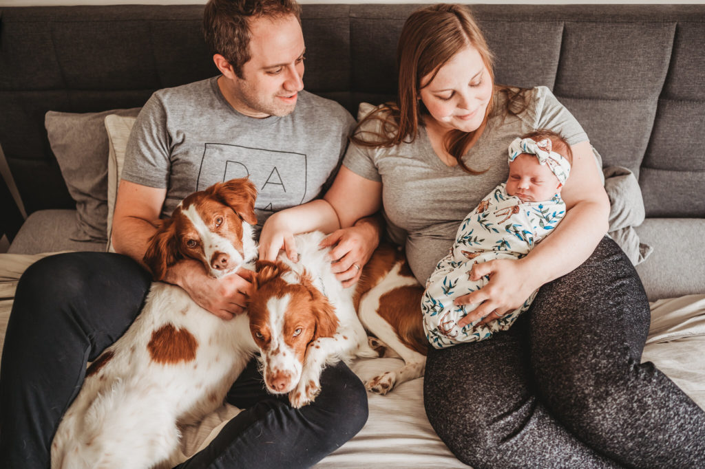 Newborn baby in bed with mom and dad with dogs